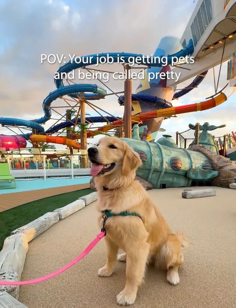 Royal Caribbean